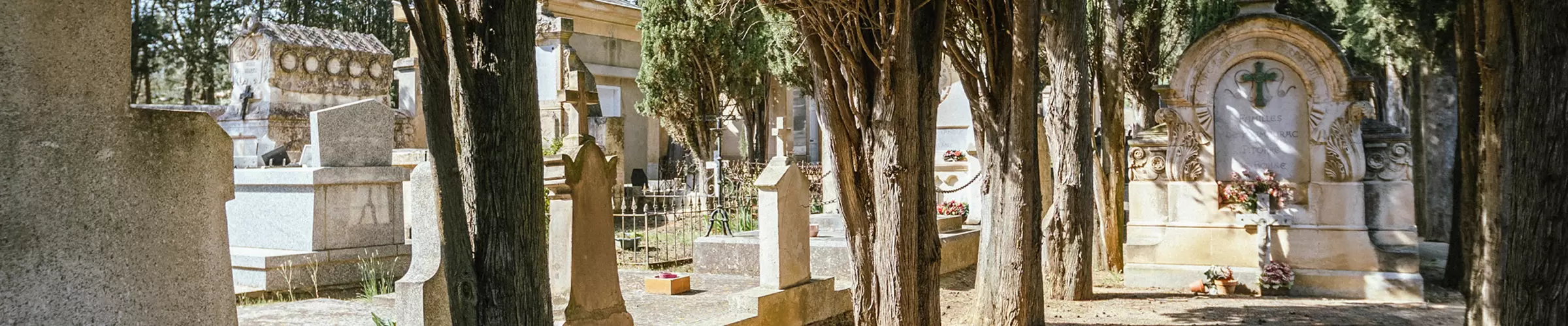 Historical cemetery image featuring ancient tombstones